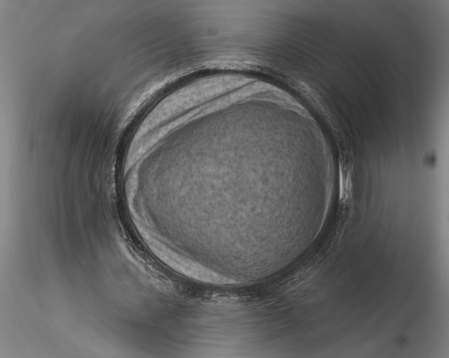 X0000116040531200912111442