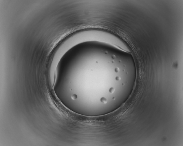 X0000116040534200912111442