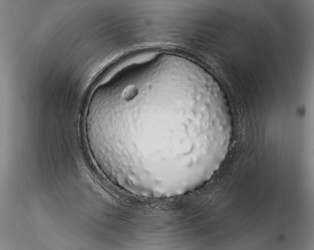 X0000116040535200912111442