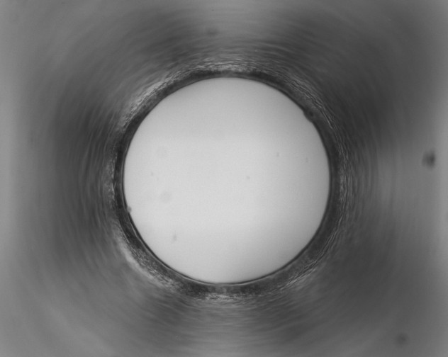 X0000116040538200912111442