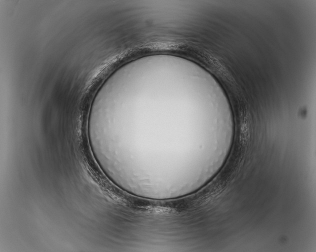 X0000116040539200912111442