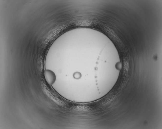 X0000116040541200912111442