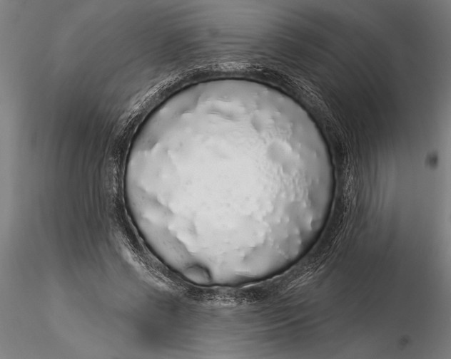 X0000116040542200912111442