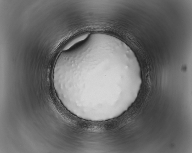 X0000116040543200912111442