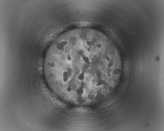 X0000116040545200912111442