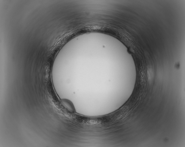 X0000116040546200912111442