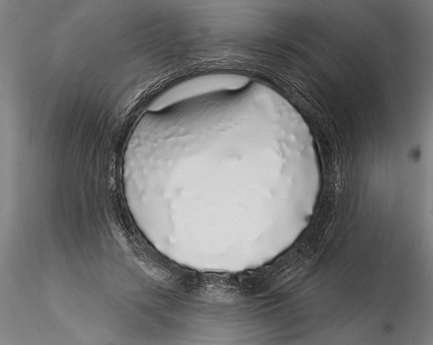 X0000116040547200912111442