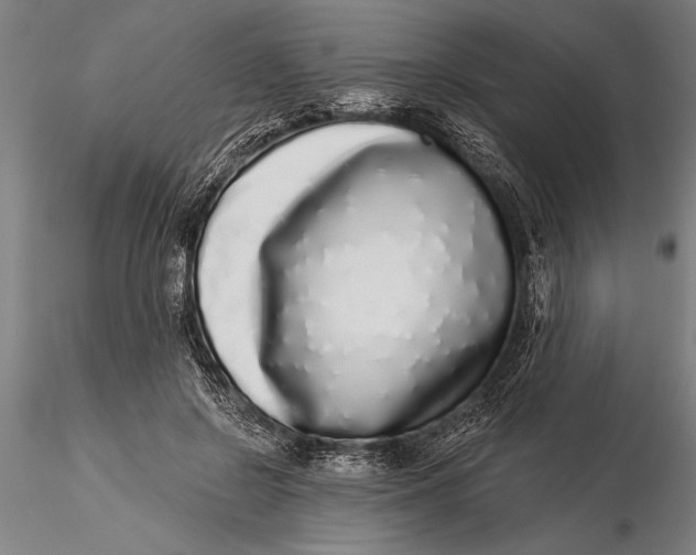 X0000116040550200912111442