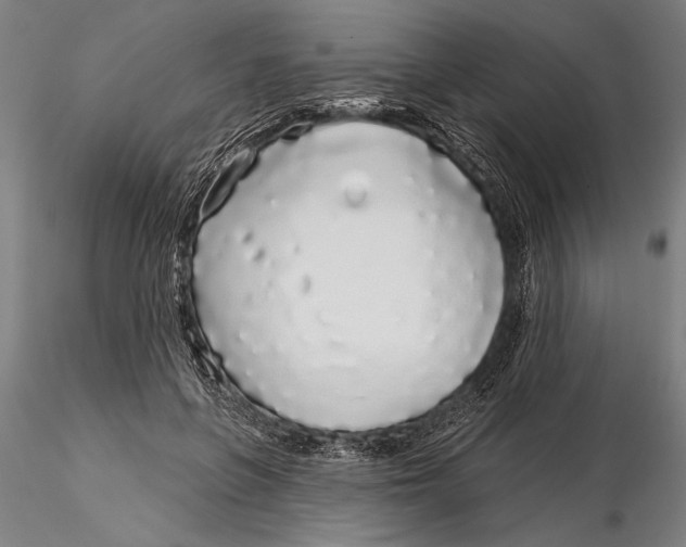 X0000116040551200912111442