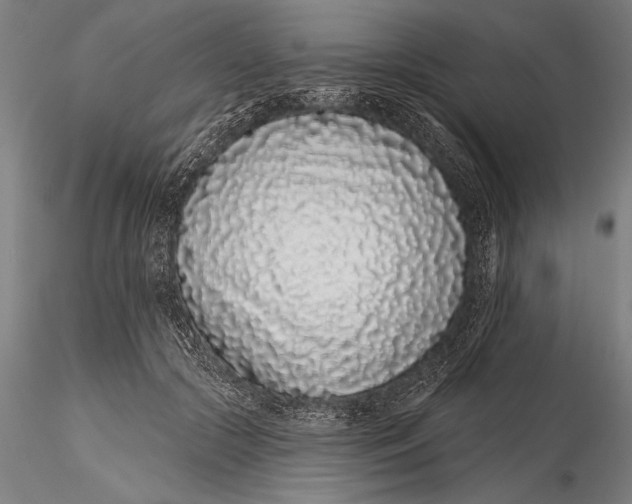 X0000116040553200912111442