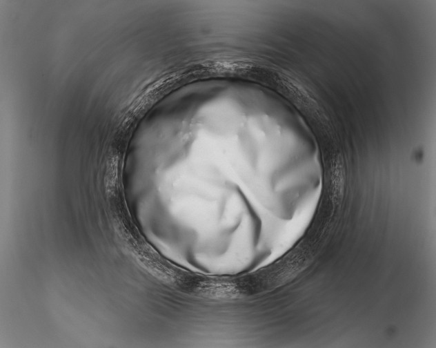 X0000116040554200912111442