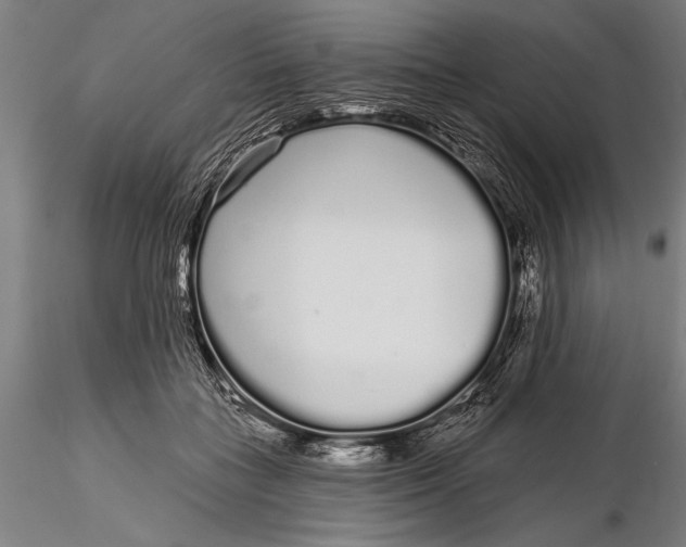 X0000116040555200912111442