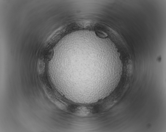 X0000116040558200912111442