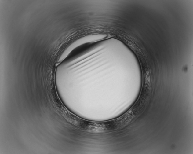 X0000116040559200912111442