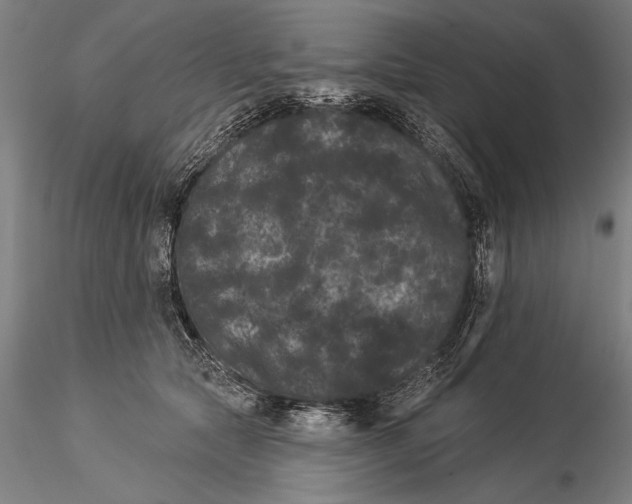 X0000116040561200912111442