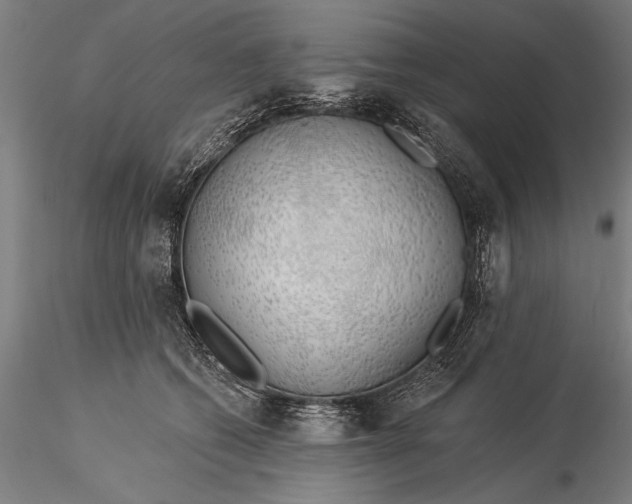 X0000116040562200912111442