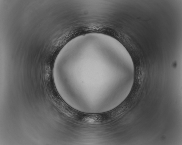 X0000116040563200912111442