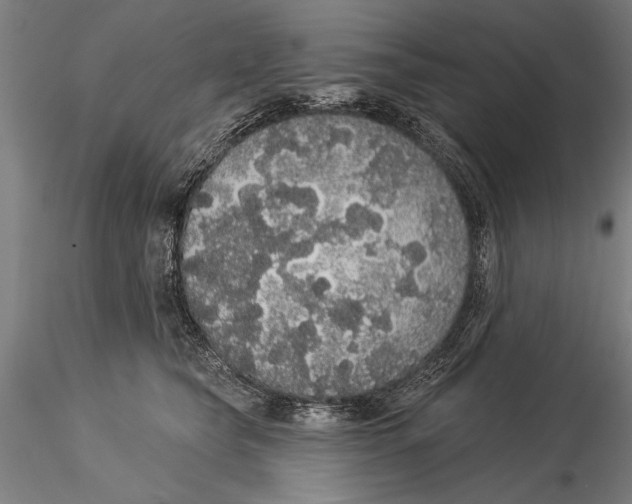 X0000116040565200912111442