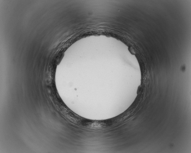 X0000116040566200912111442