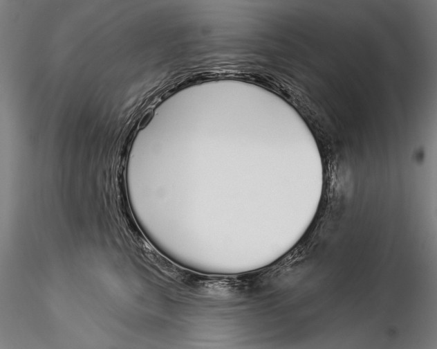 X0000116040567200912111442