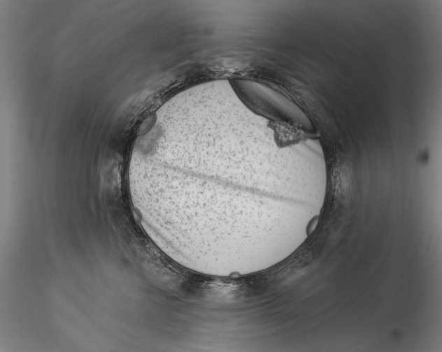 X0000116040570200912111442