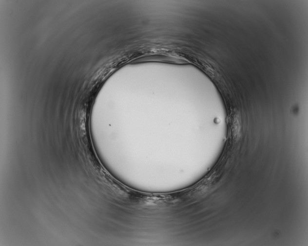 X0000116040571200912111442