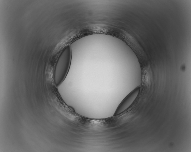 X0000116040573200912111442