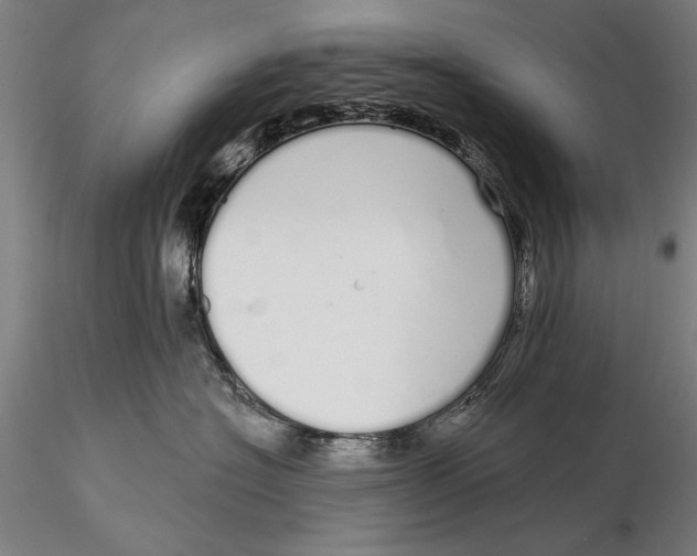 X0000116040574200912111442