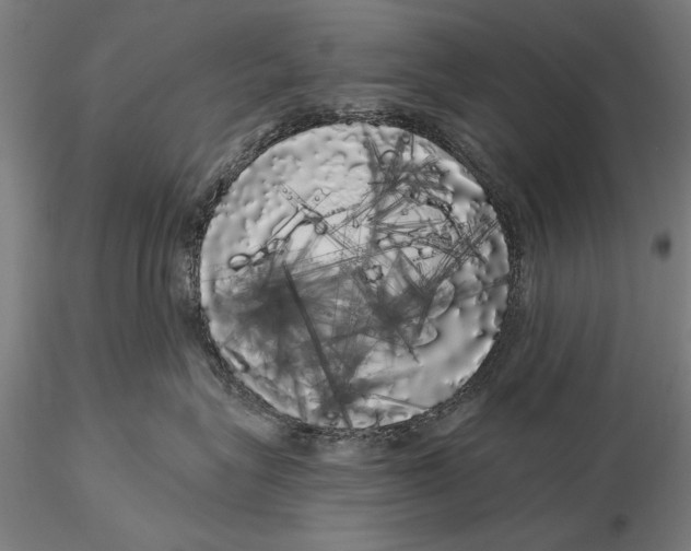 X0000116040575200912111442