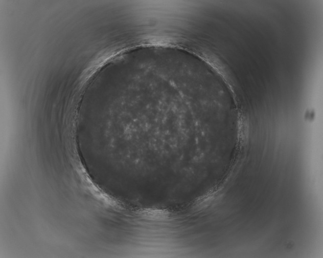 X0000116040577200912111442