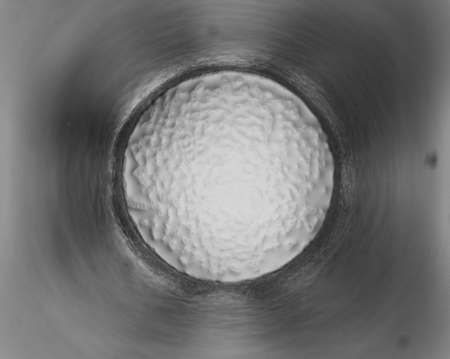X0000116040578200912111442