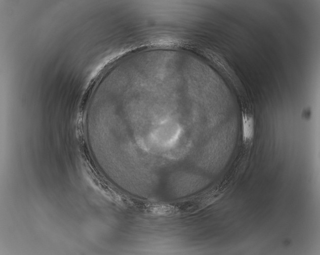 X0000116040579200912111442