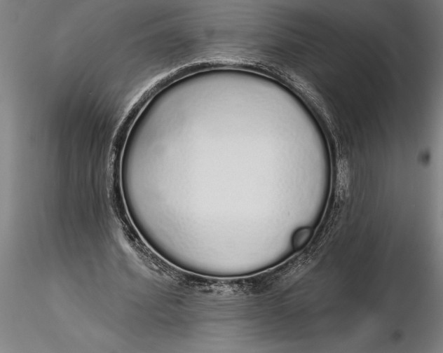 X0000116040580200912111442