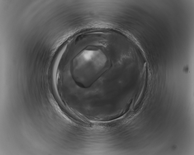 X0000116040581200912111442