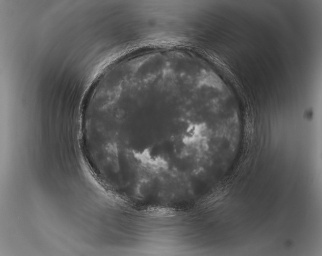 X0000116040582200912111442