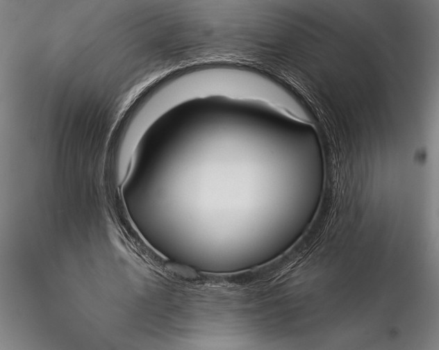 X0000116040583200912111441