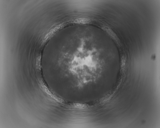 X0000116040585200912111441