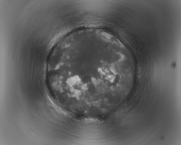 X0000116040586200912111441