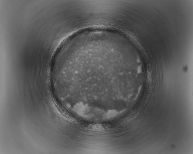 X0000116040588200912111441