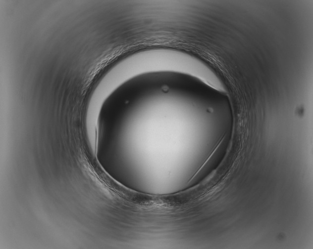 X0000116040589200912111441