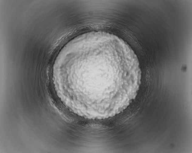 X0000116040590200912111441