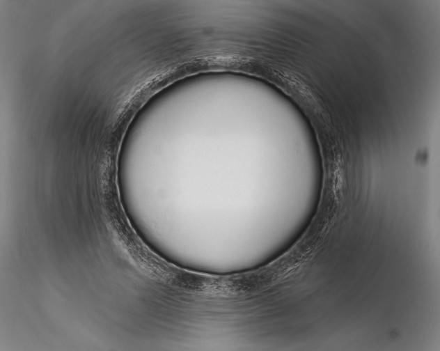 X0000116040591200912111441