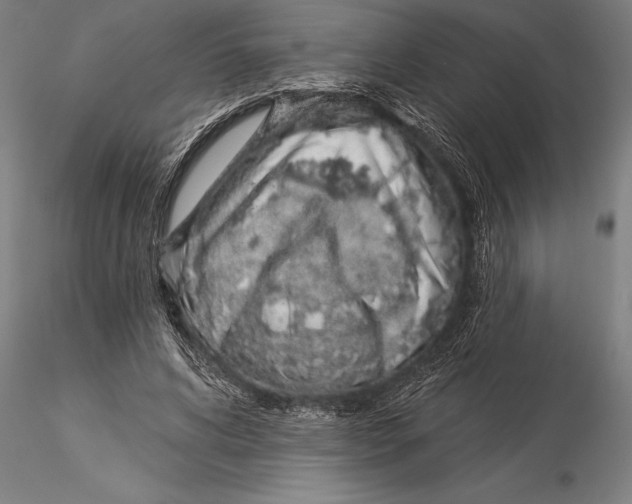 X0000116040592200912111441