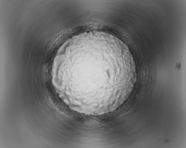 X0000116040594200912111441