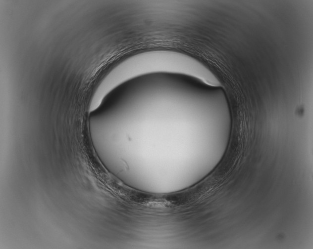 X0000116040595200912111441