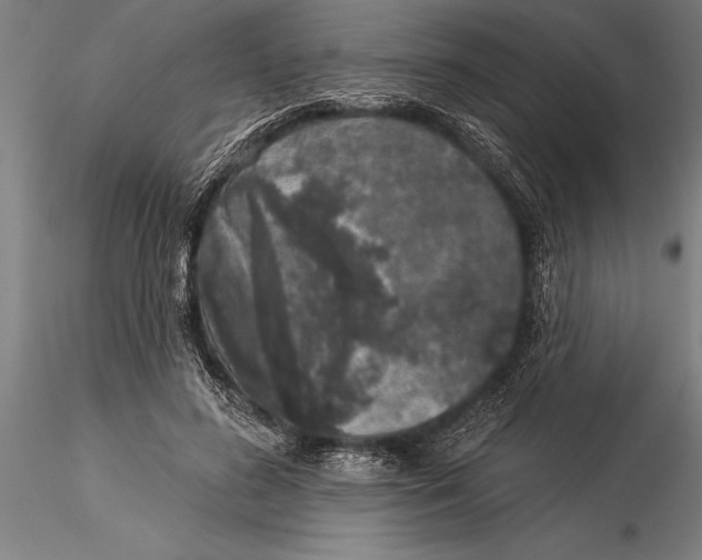 X0000116040596200912111441