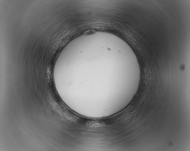 X0000116040597200912111441