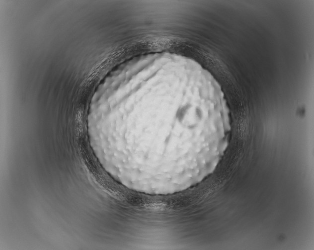 X0000116040598200912111441