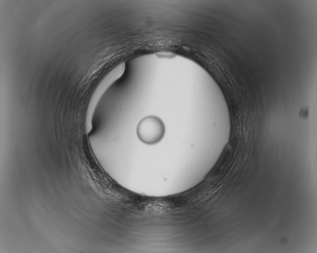 X0000116040599200912111441