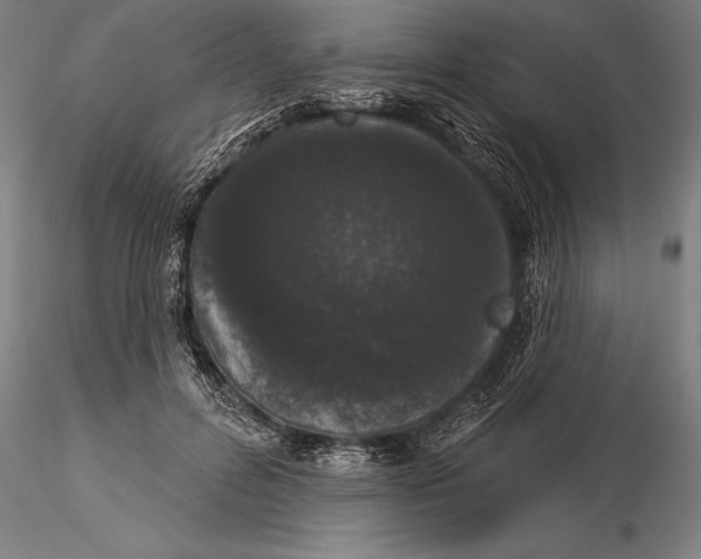 X0000116040600200912111441